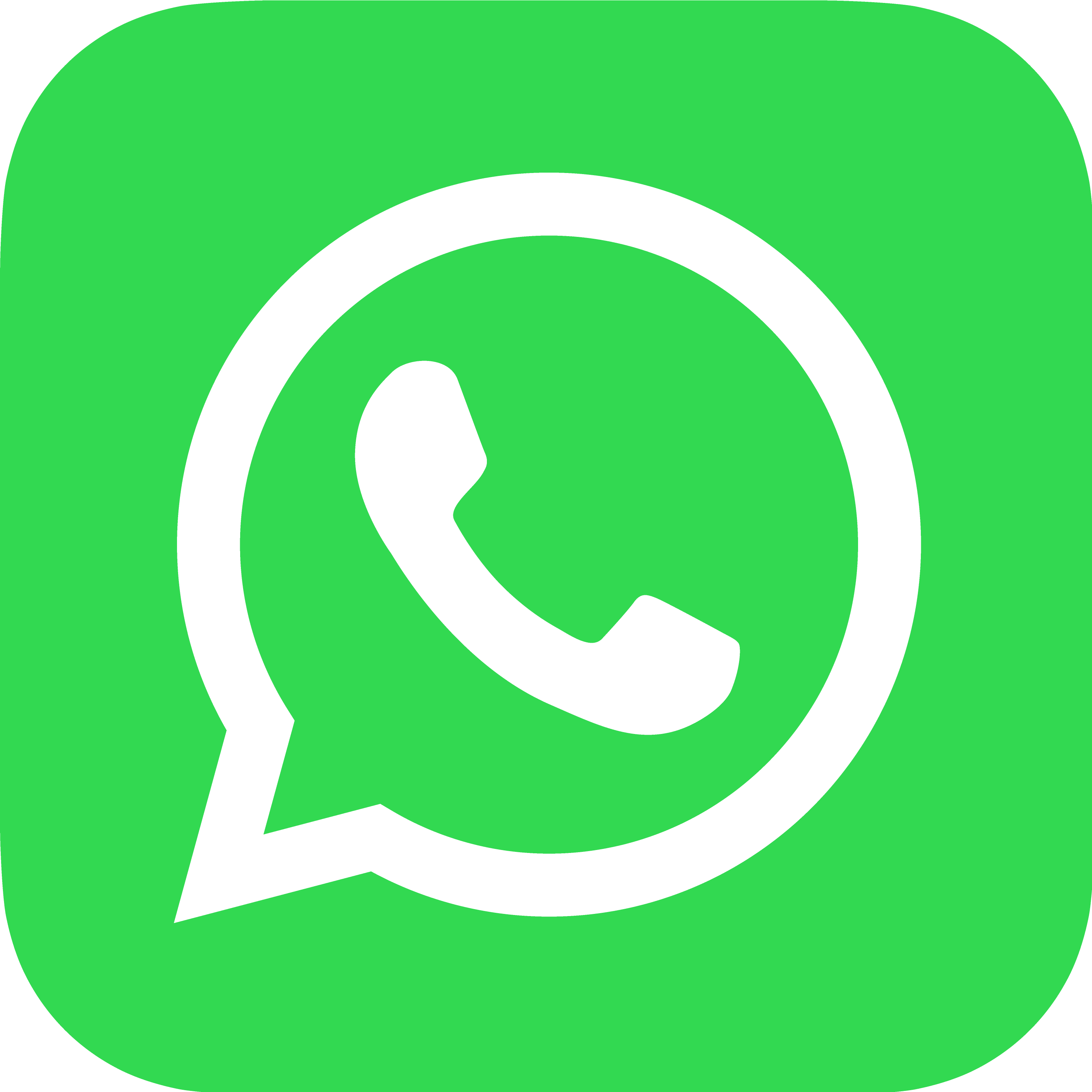 WhatsApp Icon
